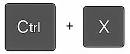 Ctrl and X